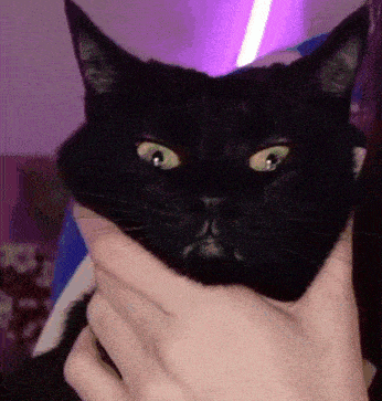 Sypha Stare GIF