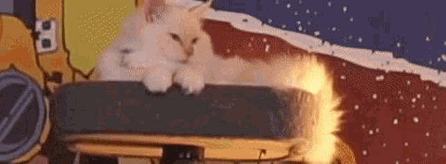 Sypherpk Kitty GIF