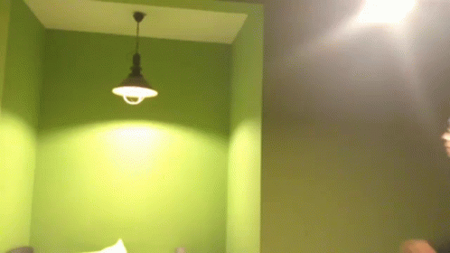 Syzmek Szymon GIF