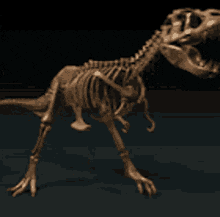 T Rex Skeleton Spinning GIF