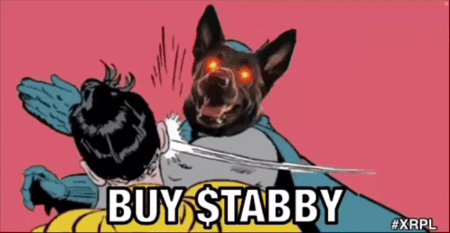 Tabby Dog Tabby Xrp GIF