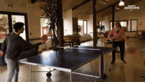 Table Tennis GIF
