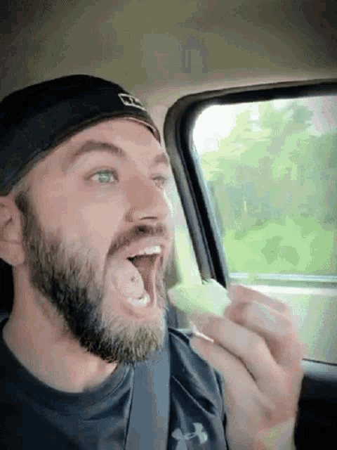 Taco Bell GIF