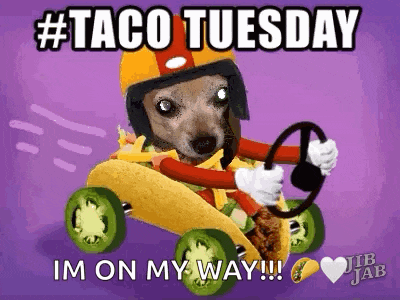 Taco Tuesday Happy GIF