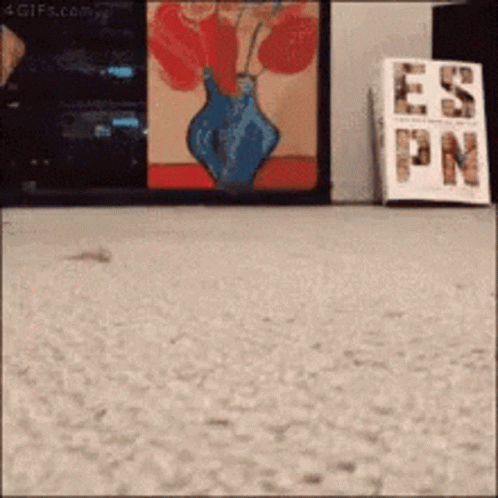 Taefavour GIF