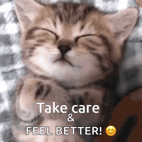Take Care M Cat Take Care GIF. This 490 x 490 animated GIF is part of our feel better collection. Created by kmt818. View the original animation, share it…