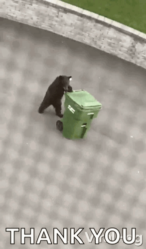 Taking Out Trash Viralhog GIF