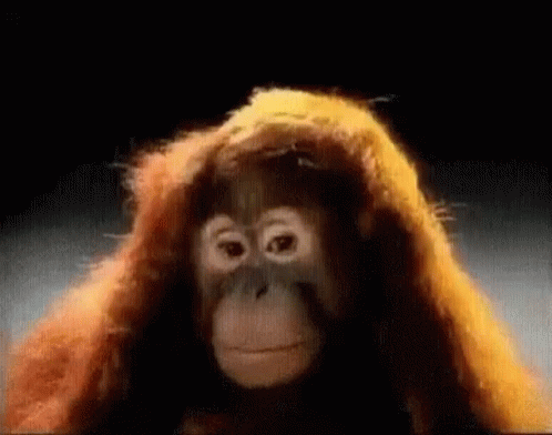 Talbottbusch123 GIF