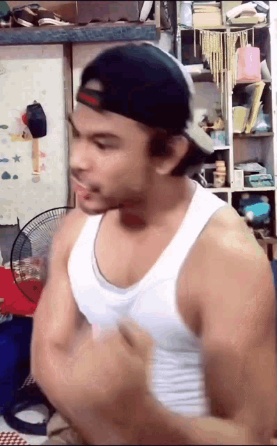 Tama Bob Royo GIF