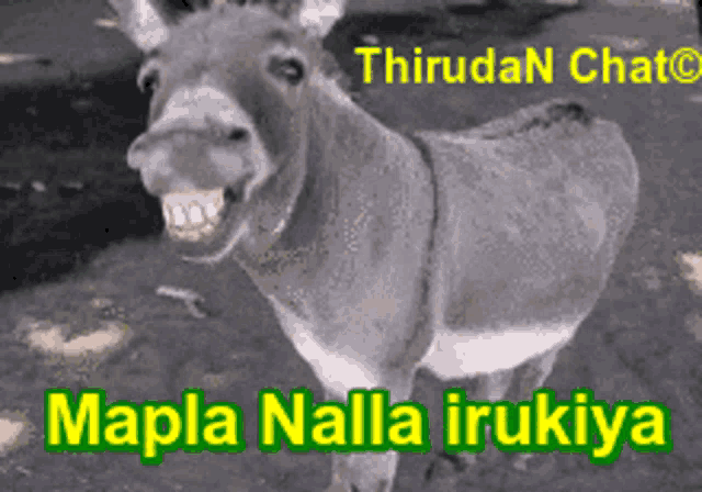 Tamil Actress Gif Tamil Heroin Gif GIF