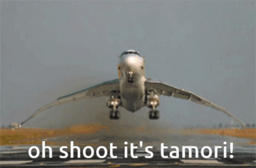 Tamori Airplane GIF