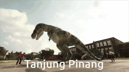 Tanjungpinang GIF
