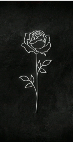 Tano Rose GIF