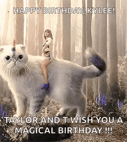 Taylor Swift Cat GIF