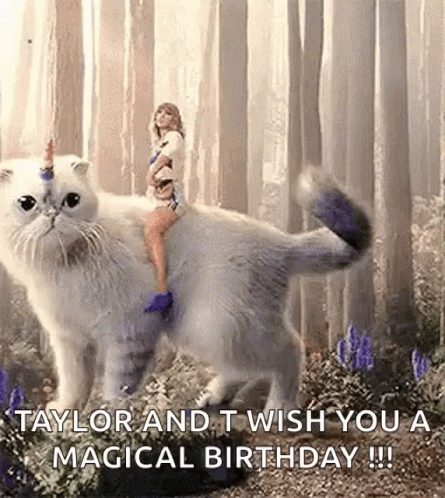 Taylor Swift Cat GIF