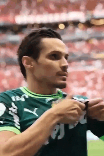 Te Amo Palmeiras Palmeirense GIF