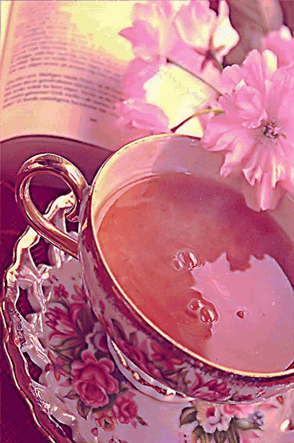 Tea Tea Cup GIF