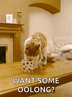 Tea Teacup GIF