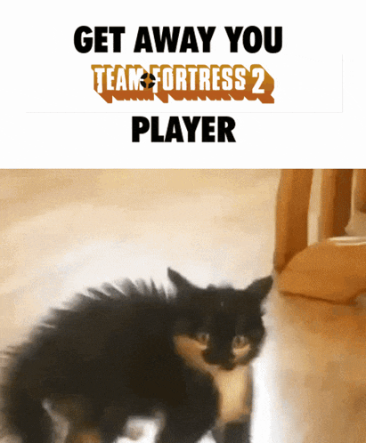 Team Fortress 2 Tf2 GIF