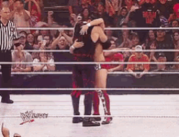 Team Hell No GIF