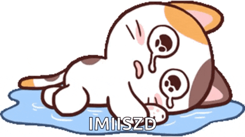 Tears GIF