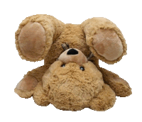 Teddy Bear Sticker