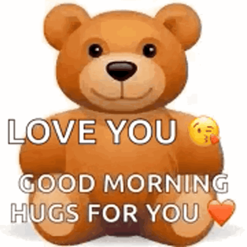 Teddy Hug GIF