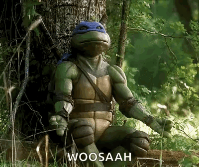 Teenage Mutant Ninja Turtles Leonardo GIF