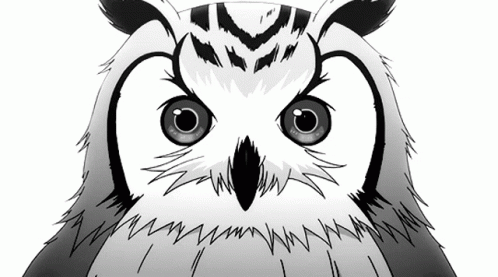Tegbwowl Tegowl GIF. This 498 x 277 animated GIF is part of our shaft head tilt collection. Related themes include black. Created by ufohno. View the…