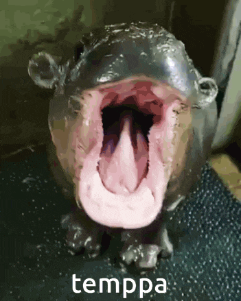 Temppa Cute GIF