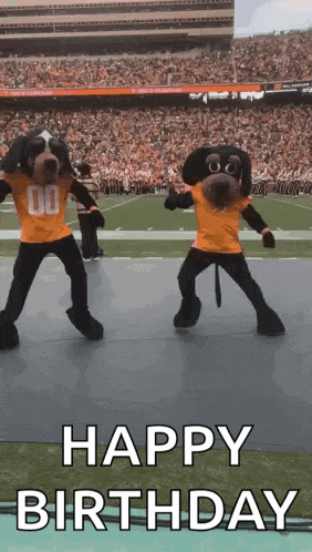 Tennessee Volunteers Smokey GIF