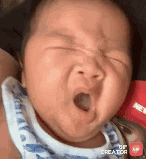 Teppybahong Yawn GIF
