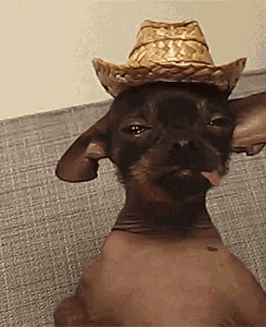 Tequila Drunk GIF