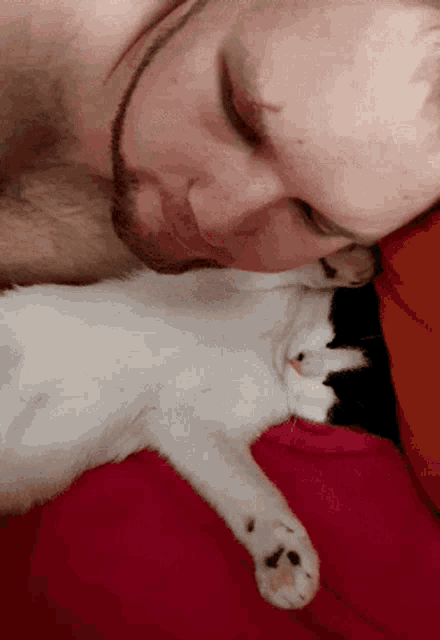 Teravmoon Sleeping GIF
