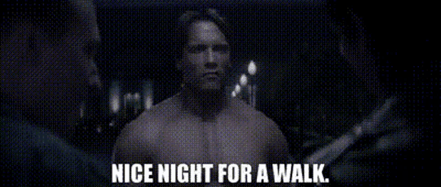 Terminator Nice Night For A Walk GIF