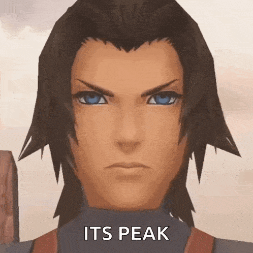 Terra Terra Kingdom Hearts GIF