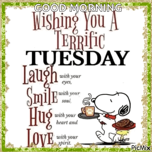 Terrific Tuesday GIF