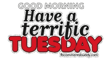 Terrific Tuesday Happy Tuesday GIF