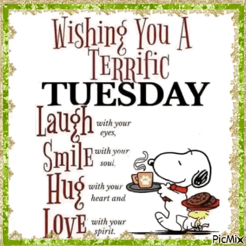 Terrific Tuesday GIF