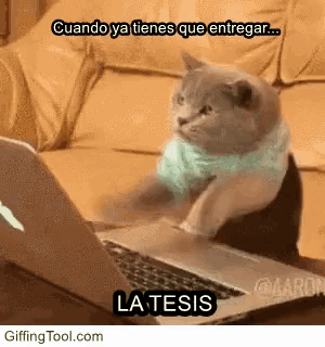 Tesis Writing GIF
