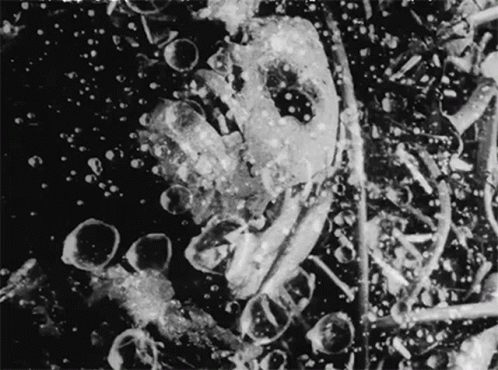 Tetsuo The Iron Man Body Horror GIF
