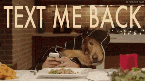 Text Back GIF
