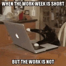 Text GIF