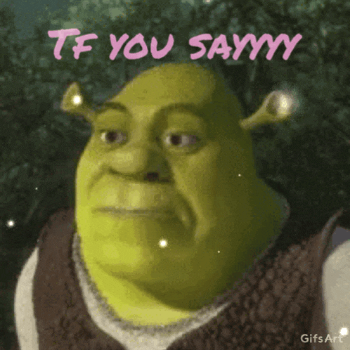 Tf You Sayy GIF