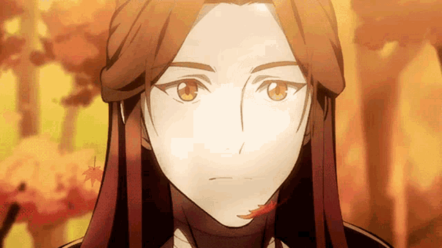 Tgcf Heaven Officials Blessing GIF