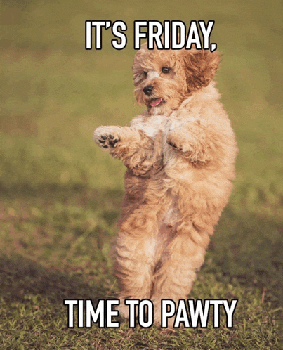 Tgif Meme Meme