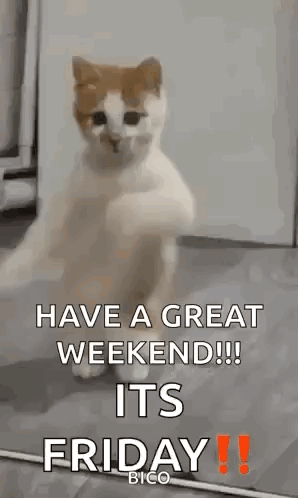 Thank God Its Friday Thank God It'S Friday GIF