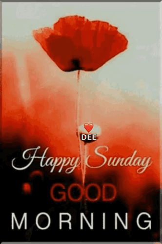 Thank You GIF