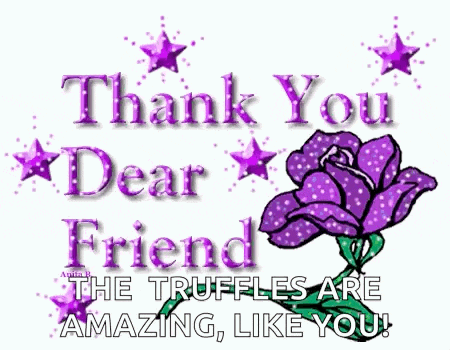 Thank You Dear Friend Ty GIF
