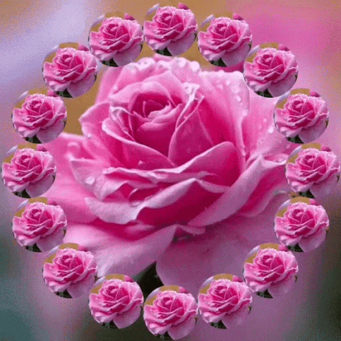 Thank You Flowers GIF